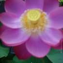 자연이야기 이미지