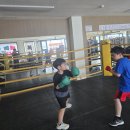 천안 두정 복싱 이미지