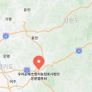 2811 | 깡통시장 냉동삼겹살 맛집 부원냉삼집 모둠 냉삼과 된장찌개 내돈내산 후기