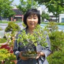 ㈜분재마을 이미지