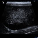 선부중앙동물의료센터 이미지