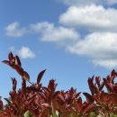 역전시장 상점가 | 🌞 한여름이었다. - 2박 3일 통영&amp;남해여행