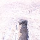 용담지석묘 1호 | 순천/제주도 고인돌