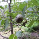 궁촌농장 이미지