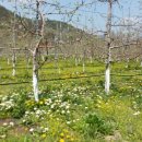 햇살농장 이미지