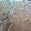 안산천서로 이미지