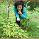 미수농장 이미지