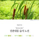 수도권 1코스 : "햇살을 밟다" 진관내동 습지 노선 이미지