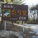 송재농장 Daum카페