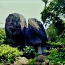경남 합천군. 허굴산 코끼리 바위(2020.6.21) 이미지