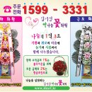 행운화원 - 철원군 금학로256번길 2 | 행운화원