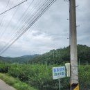 윤호농장 이미지