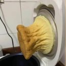 카스테라 이미지