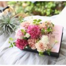 관악산펜션 - 8765 | 재경 거창중앙고 30회 관악산펜션 모임후기2018.6.23(토)