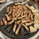 완전 밀려버린 11월 일상