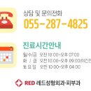레드성형외과의원 이미지