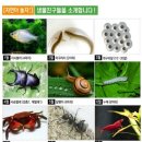 자연아 놀자 이미지