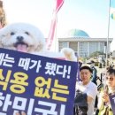 메리해피쫑 이미지