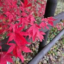 구파발 둘레길 관광안내소 | 북한산 둘레길 산행 후 산들애 건강밥상 방문 후기