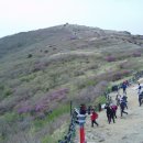 지리산천상화원 이미지