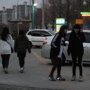 유가네설농탕 Daum카페