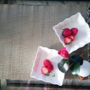 손안에 작은 꽃밭 이미지