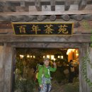 신라의 달밤 이미지