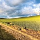 싼티아고 이미지