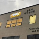 몽구네 애견유치원 이미지