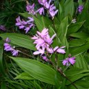 부영농장 이미지