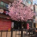 상모동물병원 이미지