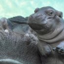 청진기닷컴 이미지