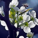 이화농원 이미지