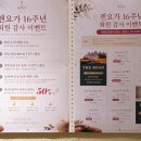 [경기/성남/정자역]창립 16주년 요가원 정자역 젠요가 체험수업 2회 후기