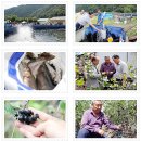 김성기농장 이미지