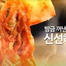 채담원
