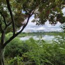 여기산2(동) 이미지