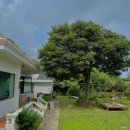 신풍보건진료소 이미지