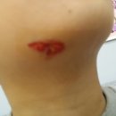 이레성형외과의원