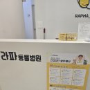 라파동물병원 이미지