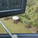 카사엘리오 이미지