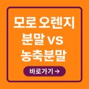 오렌지푸드 | 모로 오렌지 분말 vs 농축분말｜다이어트 효과 좋은 건?