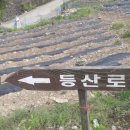 제 983차 6월 13일 강원 영월 계족산(890m) 이미지