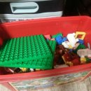 이정화농장 이미지