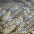 일수농장 이미지