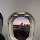 길국수 | 2025 가을 제주도 여행 1일차 | 올래국수, 이승이오름 삼나무숲길 후기