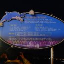 춤추는 바다분수 이미지