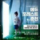 포레스트에듀 Daum카페