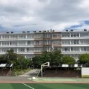 울산고등학교 이미지