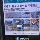 다대포 원조 해물칼국수 이미지